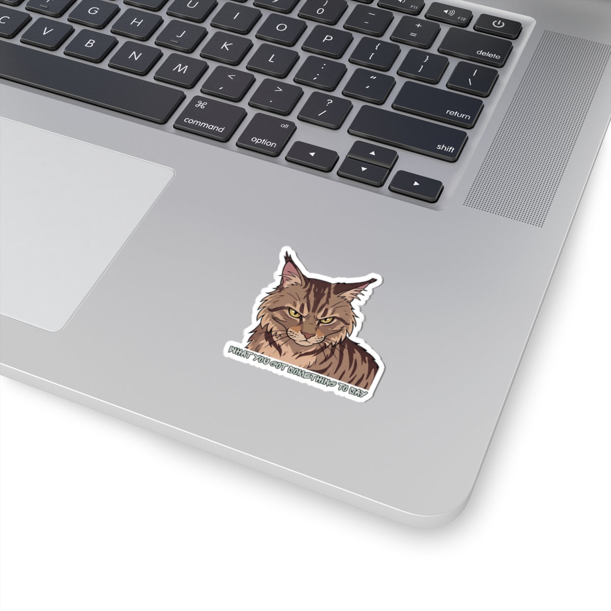 Grumpy Maine Coon Cat Sticker — "What You Got Something to Say?" Kiss-Cut Sticker